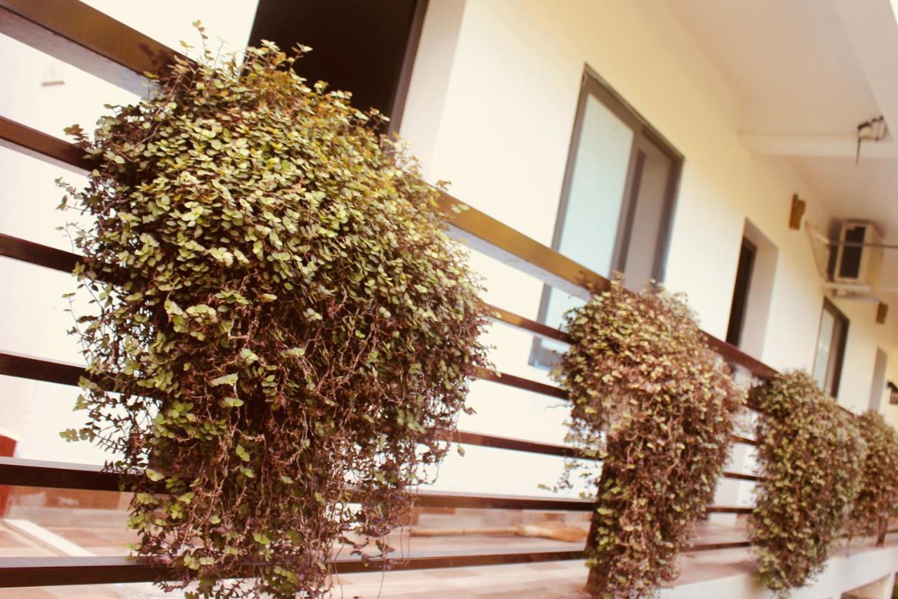 Bac Kan Ba Be Hostel מראה חיצוני תמונה